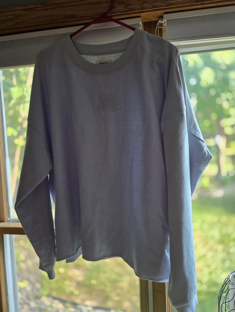 American Eagle Outfitters Light Gray Crewneck Sweatshirt